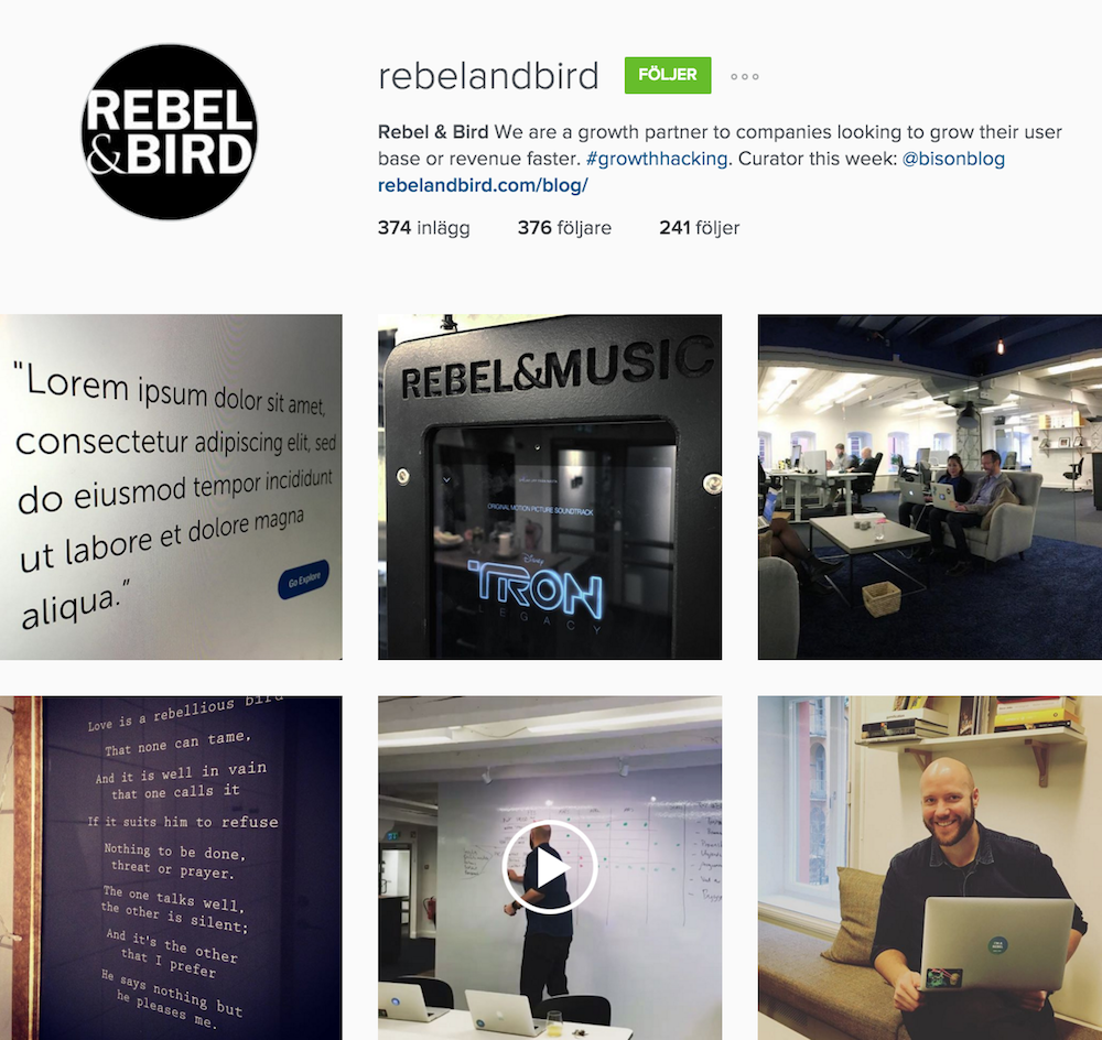 Rebel & Bird Instagram